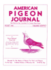 Magazine Cover